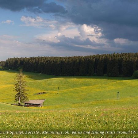 Entire House In Schwarzwald With Mountain View, Private Gym,Sauna And Garden Villa Unterkirnach Esterno foto